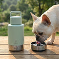 32oz 3-in-1 Dog Water Bottle Stainless Travel Cup with 2 Bowls