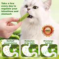 Cat Grass Treats, 7.05 Oz Natural Freeze Dried Cat Grass Teething Stick.