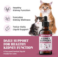 Special Breed Kidney Support for Cats - Rehmannia & Astragalus Liquid, 2 oz