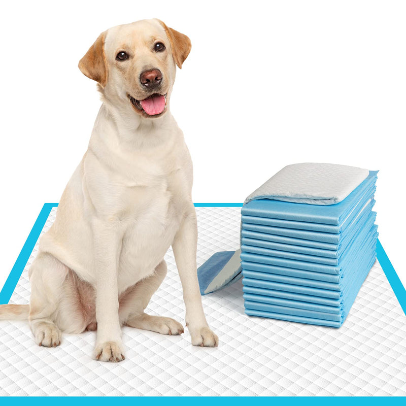 IMMCUTE Large Dog Pee Pads 28