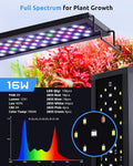 SEAOURA WRB LED Aquarium Light with Timer for 18-24in Freshwater Fish Tank