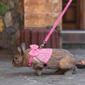 Bunny Harness and Leash Set, Soft Mesh Rabbit Harness with Bow, Adjustable Escape Proof Vest for Small Pets Rabbits Kitt
