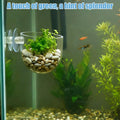 3 Pack Clear Fish Tank Plant Holder Aquatic Plant Cups