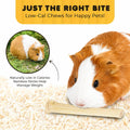 SunGrow Sweet Bamboo Chew Sticks for Rabbits, 100g (3.5 oz) Bunny Molar Chew Sticks for Guinea Pigs, Chinchillas, Gerbil