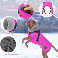 Doglay Dog Coat with Detachable Harness, Fleece Dog Winter Jacket