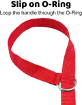 Downtown Pet Supply - 6ft Dog Kennel Slip Lead - Veterinarian, Grooming, Daycare & Rescue Supplies - One Size Leads for 