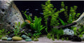 Underwater Aquatic Fish Tank Background Stone Aquarium Backdrop 72x24 in