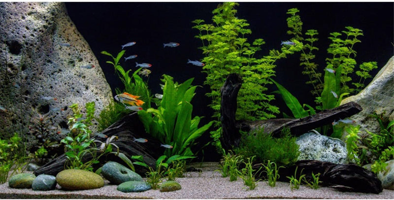 Underwater Aquatic Fish Tank Background Stone Aquarium Backdrop 72x24 in