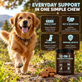 12-in-1 Dog Multivitamin Soft Chews, Daily Multivitamin for Dogs, Skin & Coat, Gut, Hip & Joint & Immune Support, Beef F