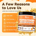 Nature Target Pumpkin for Dogs & Cats, Digestive Enzymes & Apple, 10.58 oz