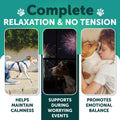 Dog Calming Chews - 120 Treats - Hemp Calming Chews for Dogs for Anxiety