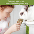 Abizoo Rabbit Natural Treats,10Pcs Timothy Hay Toys Chips Bunny chew Toys with Herbal Flowers Guinea Pig Treats for Hams
