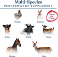 Manna Pro Calf-Manna, Multi-Species Performance Supplement for Livestock, Poultry, Cattle, Goats, Rabbits, Swine, Horses & Deer, High-Protein Animal Feed Additive for Growth, Weight Gain, 10 lb Bag