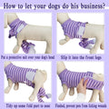 Dog Recovery Suit, Surgical Recovery Suit for Male Female Dogs Cats Spayed Onesie After Surgery, Dog Post Surgery Suit A