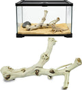BNOSDM Reptile Branches, 9.5-11.4inch Snake Climbing Branch, Terrarium Wood Branch Decor, Bearded Dragon Tank Climbing A