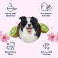 Arm & Hammer Odor Control Dog Wipes, Kiwi Blossom, 100 Count