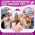 JASON Dog Grooming Scissors Set - Professional 6 in 1 Dog Shears Kit - 6.5" Thinning, 7" Straight, 7" Up-Curved, 7" Down-curved Scissors and Comb for Cat Pet with Adjustable Screw (Purple) Gift