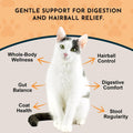 Animal Essentials Hairball Relief Formula - 1 fl Oz