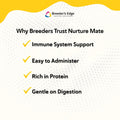 Breeder's Edge Nurture Mate Colostrum Supplement for Newborn Foals, 30ml