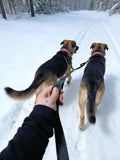 Mycicy Dual Dog Leash Coupler, Double Control Padded Handles for 2 Dogs, Heavy Duty No Tangle Reflective Splitter Dog Leash Extension, for Medium Large Dogs Walking- Black