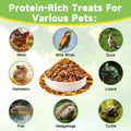 MTART 10LB Dried Black Soldier Fly Larvae Treat for Chicken, 100% Natural Non-GMO More Calcium Than Dried Mealworms High Protein Chicken Feed for Birds, Ducks, Layer Hens