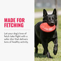 KONG Flyer - Durable Dog Toy for Outdoor Playtime - Natural Rubber Flying Disc, Dog Toy for Fetch - Safer Disc for Healthy Activity - for Medium/Large Dogs