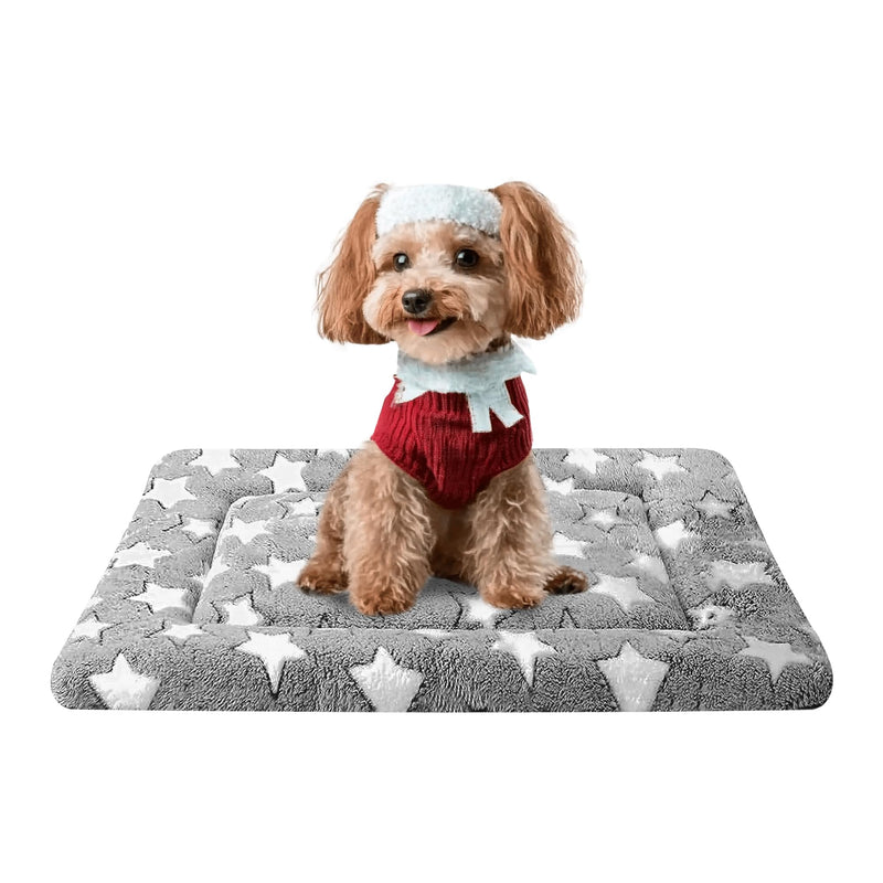 Fogkiss Dog Bed Mat, Reversible Crate Pad & Cute Dog Bed - Machine Washable Kennel Mat with Ultra Soft for Small Dogs (Cool/Warm), 24