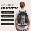 Cat Carrier Backpack, Pet Carrier Backpack Front Pack for Small Medium Cat Puppy Dog Carrier Backpack Bag Space Capsule,