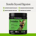 6 Billion CFU Dog Probiotics with Prebiotics, Digestive Enzymes, & Fiber - Relief for Occasional Diarrhea, Gas, Bloating & Itchy Skin - Daily Gut Health & Immune Support for All Dogs (Pumpkin, 90 ct)
