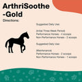 NaturVet ArthriSoothe Gold Advanced Joint Horse Supplement Powder