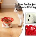 Cat Slow Feeder Bowl, Ceramic Slow Feeder Cat Bowls, Cute Mushroom Elevated Cats Bowl, Anti-Fatigue & Anti-Vomiting