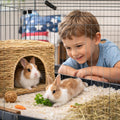 HERCOCCI Extra Large Grass House for Rabbit, Foldable & Comfortable House