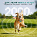 Ultra-Small Dog Shock Collar, Ultra-Thin & Light Dog Training Collar with Remote for Small Dogs 5-15lbs & Medium Large D