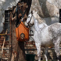 Rosemarie Horse Bucket Strap Hangers,Horse Suppliers Adjustable Nylon Straps up to 700 lbs for Hay Nets, Water Buckets,H