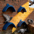 JBESUHI 20 Pcs Lightweight Plastic Dove Rest Stands - Pigeon Perches Roost Holder, Birdcage Accessories Dwelling Frame for Pigeons, Parrots and Other Birds