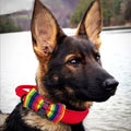 PET SHOW 50pcs Large Dog Bow Ties for Collar Bulk Bowties for Medium Big Dogs Wholesale Dog Cats Collars Attachment Sliders Grooming Accessories