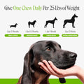 6 Billion CFU Dog Probiotics with Prebiotics, Digestive Enzymes, & Fiber - Relief for Occasional Diarrhea, Gas, Bloating & Itchy Skin - Daily Gut Health & Immune Support for All Dogs (Pumpkin, 90 ct)