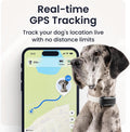 Tractive XL Smart Dog GPS Tracker | Live Pet Tracker with Virtual Fence | Vital Signs Monitoring of Heart & Respiratory 
