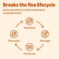 Amazon Basics Topical Flea Treatment for Medium Cats (5-9 Pounds), 4 Count, Packaging May Vary