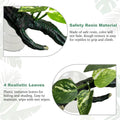 Fhiny Snake Climbing Branch, 2 PCS Resin Reptile Branches for Climbing with Suction Cups Frog Terrarium Plants Reptile T