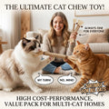 GREMBEB Cat Toys 3Pack Silvervine Chew Stick Kitten Treat Catnip Toy Kitty Natural Stuff Catnip Matatabi for Cleaning Teeth Indoor Dental Snack Interactive