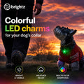 Brightz PupBrightz LED Dog Collar Charms, Paw & Bone, 2-Pack