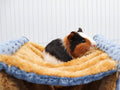 Fleece Winter Warm Rat Hammock, Double Layer Hanging Birds Nest Bed with Warm Fleece, Bird Cage Stand Perch, Hideaway Ca