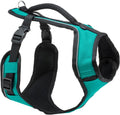 PetSafe EasySport Dog Harness, Teal Blue