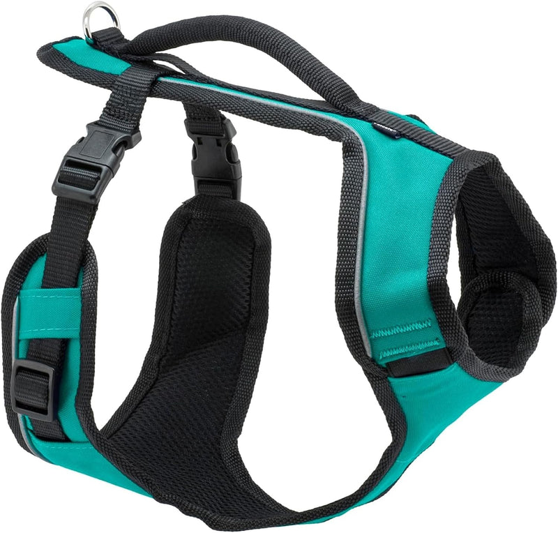 PetSafe EasySport Dog Harness, Teal Blue