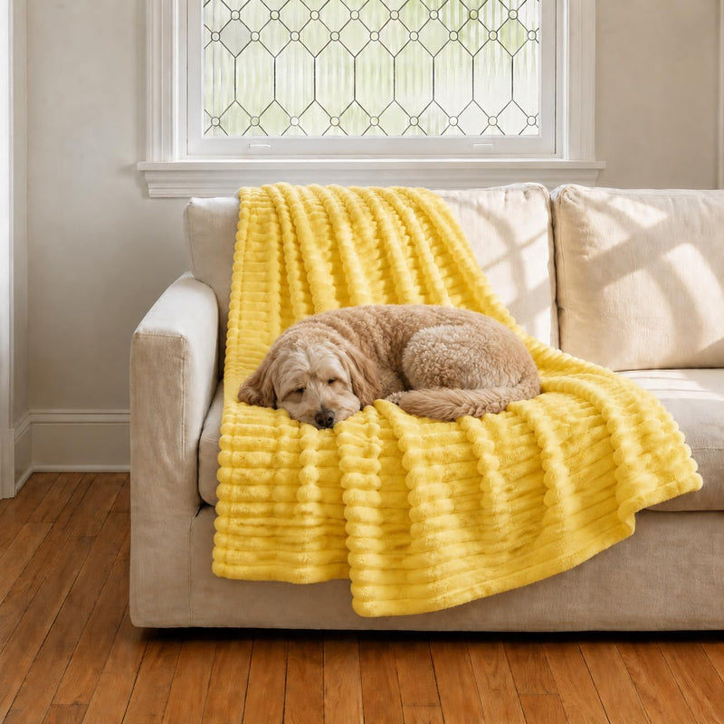 Emotional Support Blanket Yellow Dog Indoors Sofa Kennel Thermal blanket