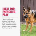 KONG Extreme Ball with Rope, Rubber Fetch Toy, Black, for Large Dogs