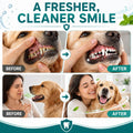 Milolabco Probiotic Dental Spray, Dentaclean Spray for Dogs, Freshens Breath, Supports Healthy Gums & Teeth, with Probio