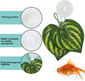 SLSON Fishes Veggie Seaweed Plant Suction Cup Clip Feeding Tool Feed Holder Aquarium Accessories for Fish Tank Fish Feed