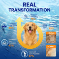 Omega 3 Skin and Coat Supplement for Dogs 200 Chews Dog Fish Oil Supplements with EPA & DHA Fatty Acids Dry Skin Relief for Dogs Shedding Allergy Itching Promotes Heart Hip Joint Health Chicken Flavor